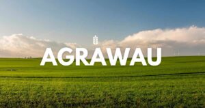 Agrawau: It is a small book with a Tapestry of Tradition and Community messages concentrating on blood and the Jewish Americans.