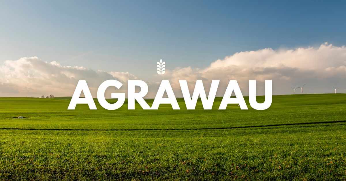 Agrawau